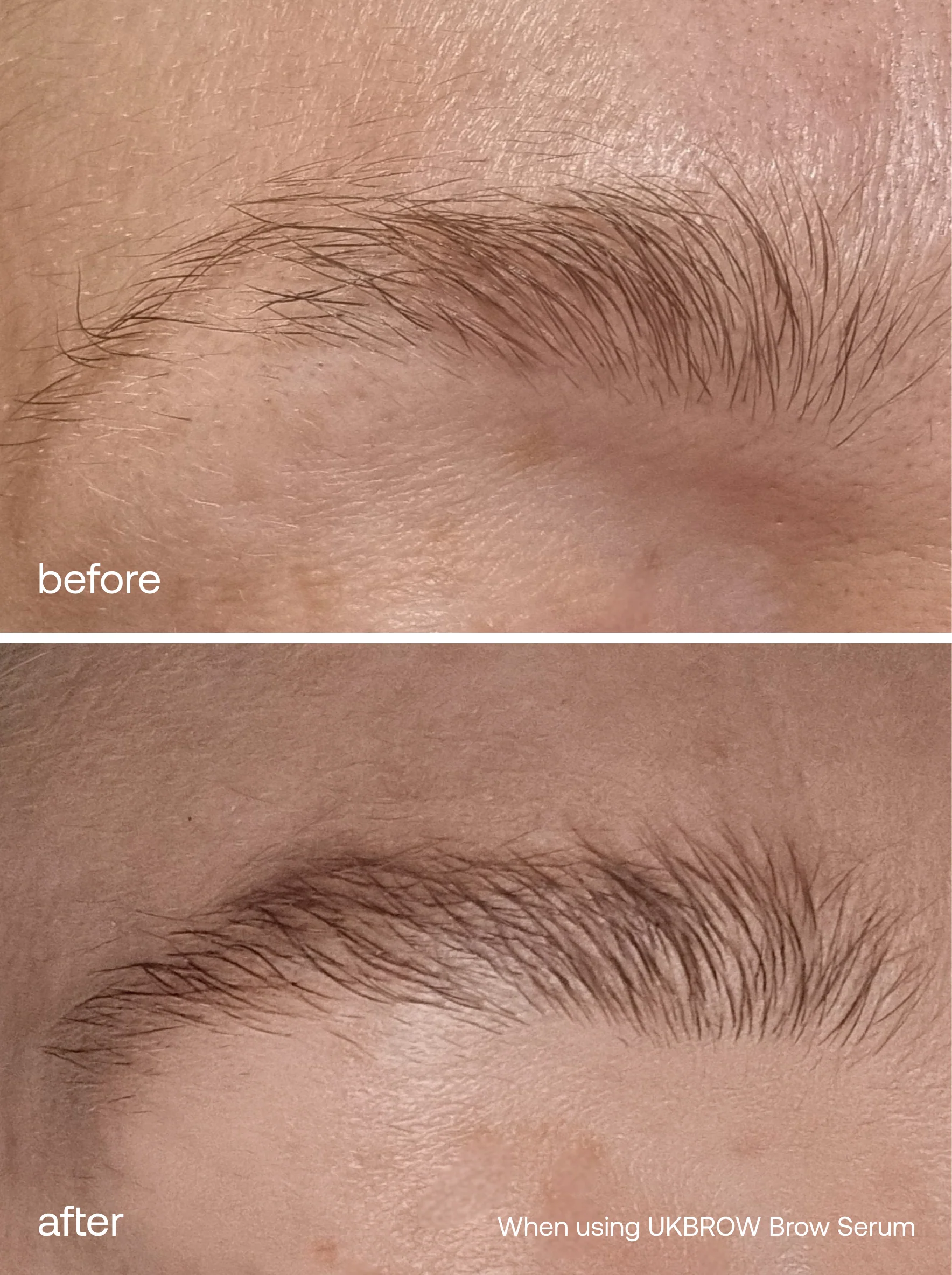 The Ultimate Brow Kit - Image 6